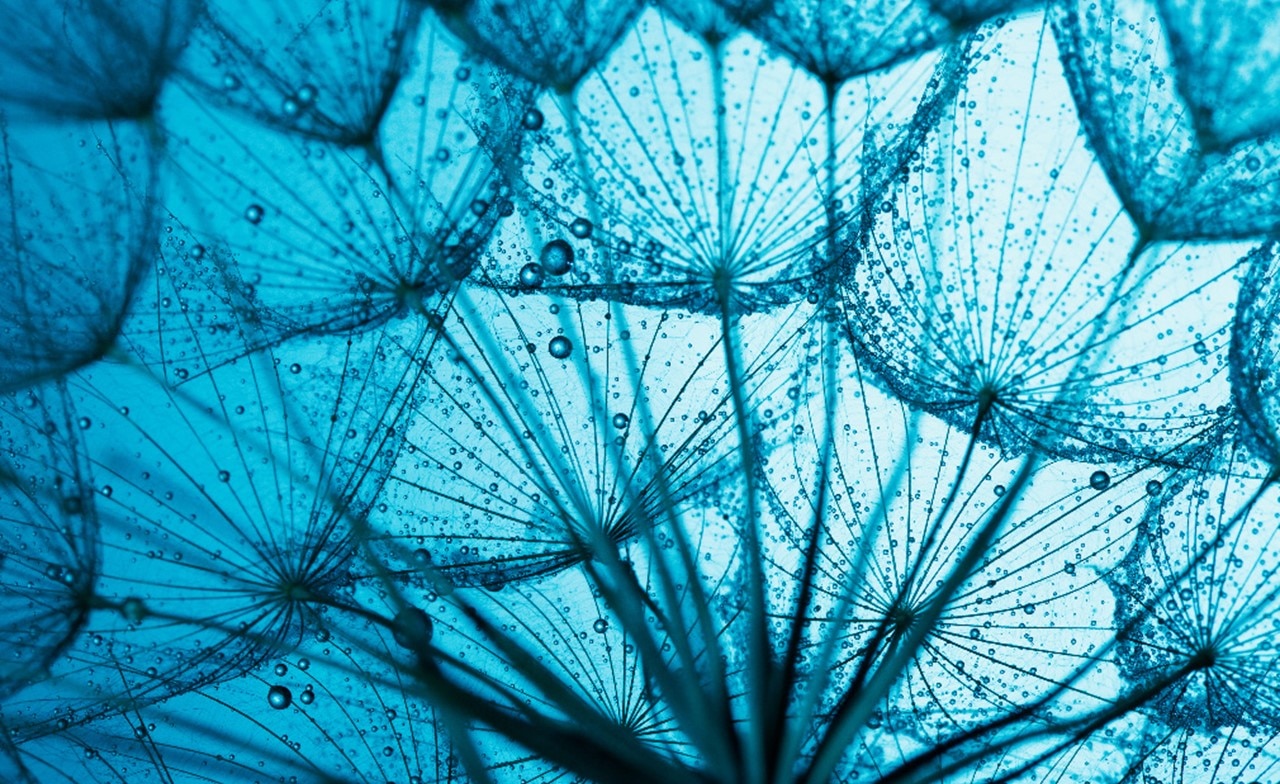 Abstract blue pattern representing interconnected data and networks Abstract blue pattern representing interconnected data and networks
