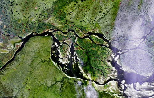 Landsat imagery of river running through rural area