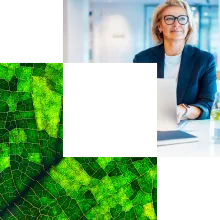 Professional in front of laptop Professional in front of laptop