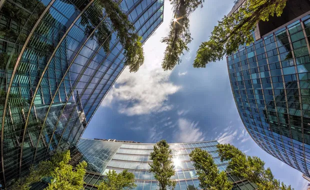 reflet des arbres dans les fenêtres des immeubles de bureaux