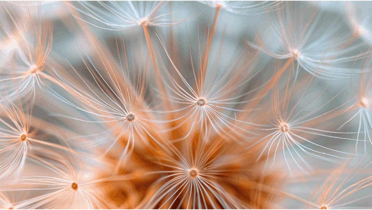 Abstract - collections specific AI Abstract - collections specific AI