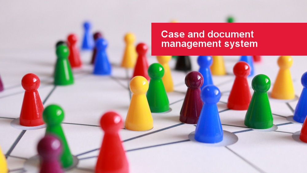 Case and document management system