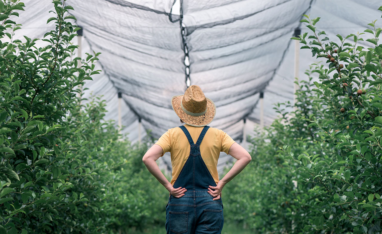 Un agriculteur en train de travailler 