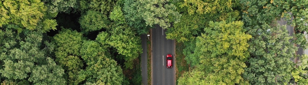 Autoroute traversant une forêt avec une voiture rouge Autoroute traversant une forêt avec une voiture rouge