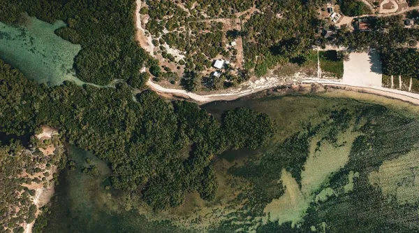 Arial view of madagascar mangroves