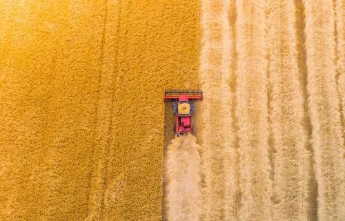 aerial_view_harvesting