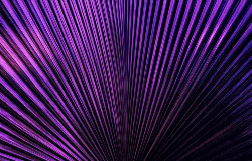 Purple light streaks abstract background
