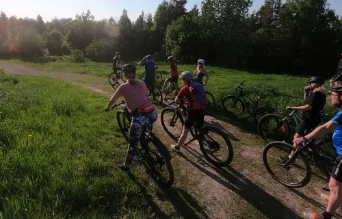 En grupp människor på mountainbikes stannar på en grusväg omgiven av gröna ängar och träd. De verkar ta en paus eller diskutera något, medan solen skiner genom träden i bakgrunden.