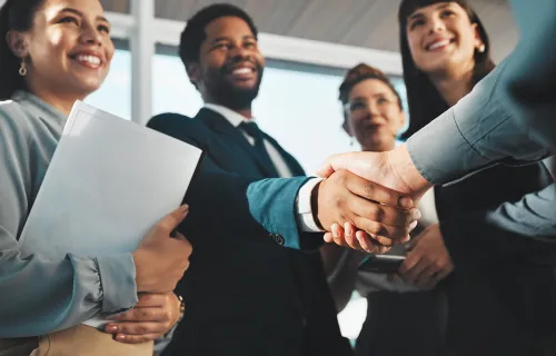 Professionals handshake on success