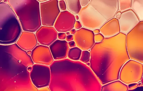 Abstract - Digiops