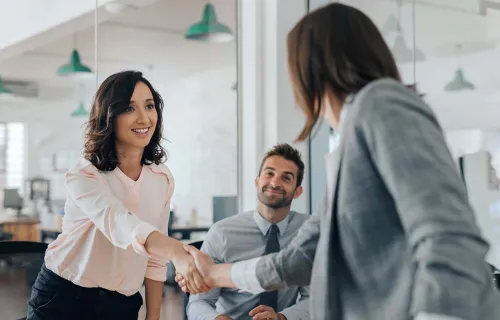 Professionals greet each other