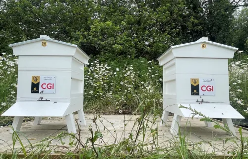 CGI bee hives from Buckley's Bees 