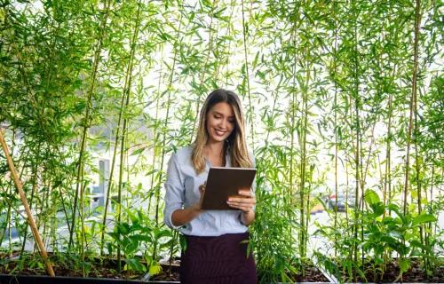 Une femme consultant sa tablette dans un décor de forêt