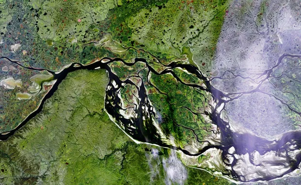 A river delta from above captured by a Earth Observation satellite
