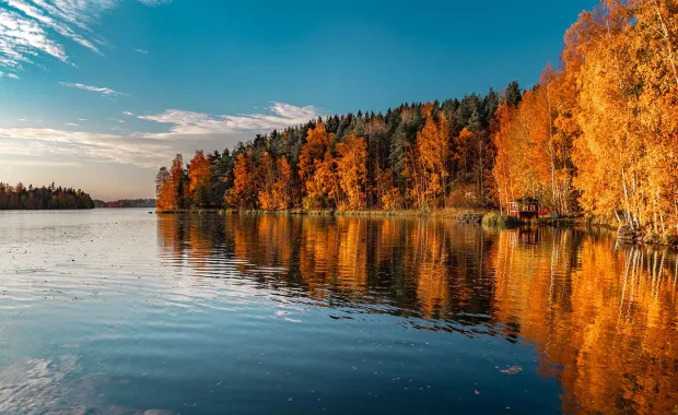 Skogslandskap i höstskrud vid en sjö