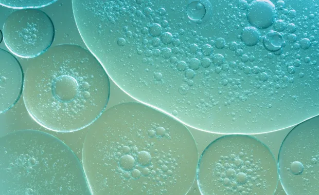 Bubbles under a microscope