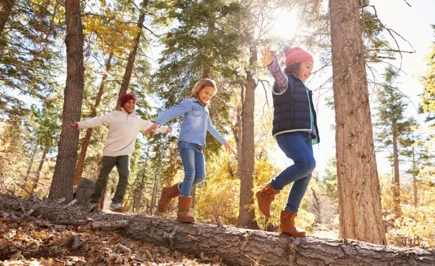 Niños divirtiéndose y haciendo equilibrios sobre un árbol en un bosque otoñal