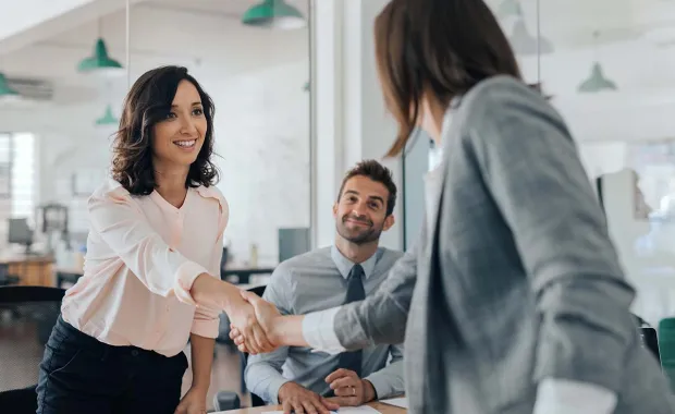 Two consultants shaking hands