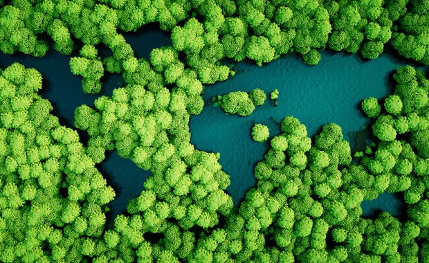 Rainforest lakes in the shape of world continents