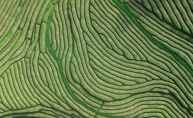 vue aérienne des terres agricoles