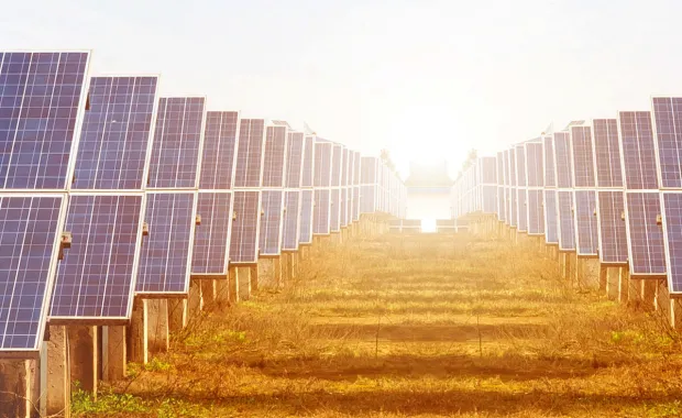 solar panels representing renewable energy