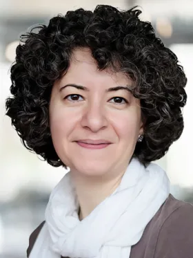 Parisa Eslambolchilar